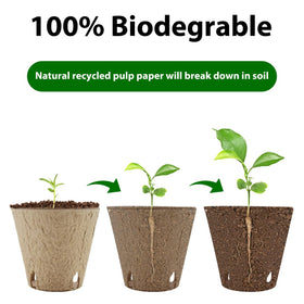 DOOPP planting labels included to track seed varieties.