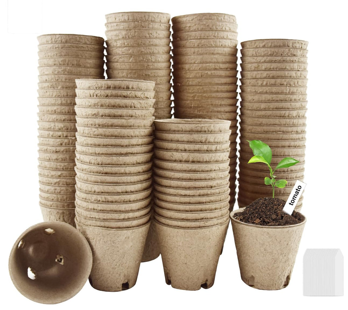 DOOPP seedling peat pot with a 3.15-inch opening for easy transplanting.