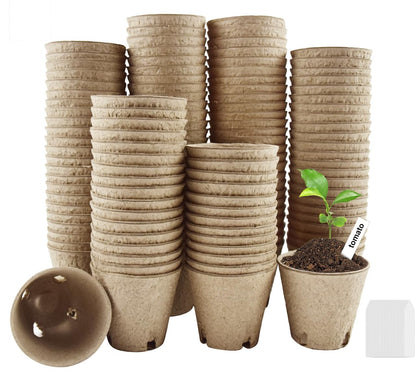 DOOPP seedling peat pot with a 3.15-inch opening for easy transplanting.