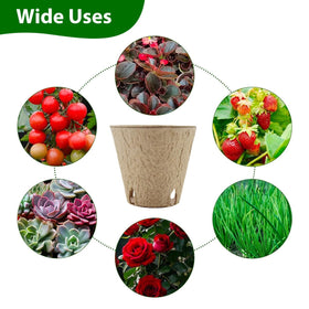 DOOPP seedling pot featuring drainage holes to manage moisture.