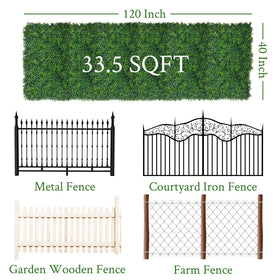 DOPGIB boxwood hedge wall panel close-up leaves for realism