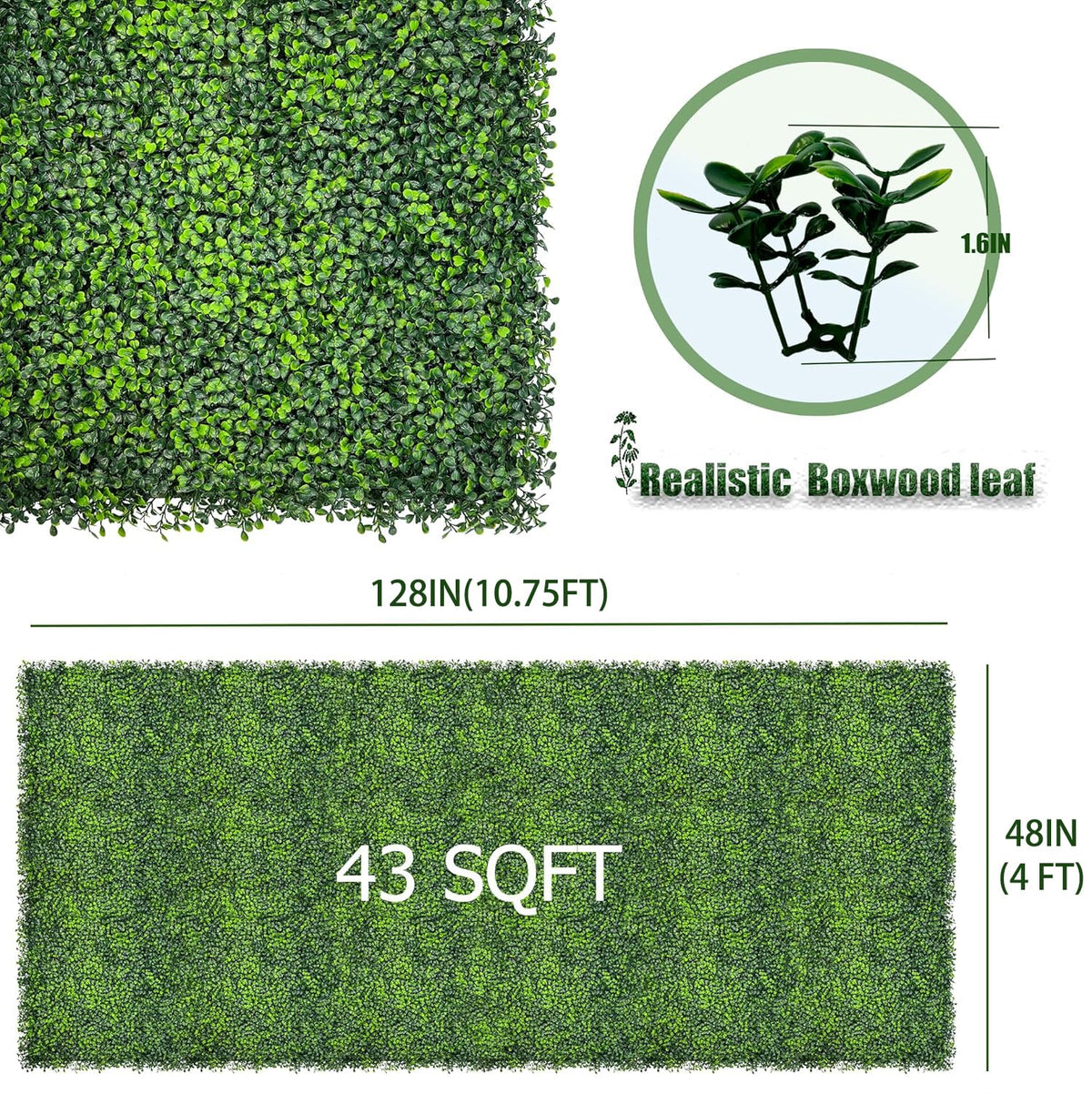 DOPGIB Dense boxwood leaves close-up highlighting realistic texture and color longevity.