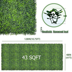 DOPGIB Dense boxwood leaves close-up highlighting realistic texture and color longevity.