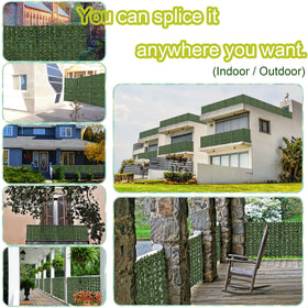 DOPGIB green backdrop in garden setup illustrating indoor/outdoor versatility.
