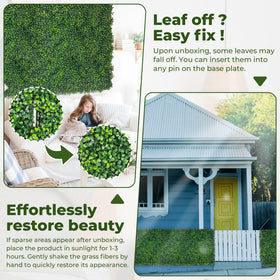 DOPGIB indoor backdrop panel brightening living space with natural vibe