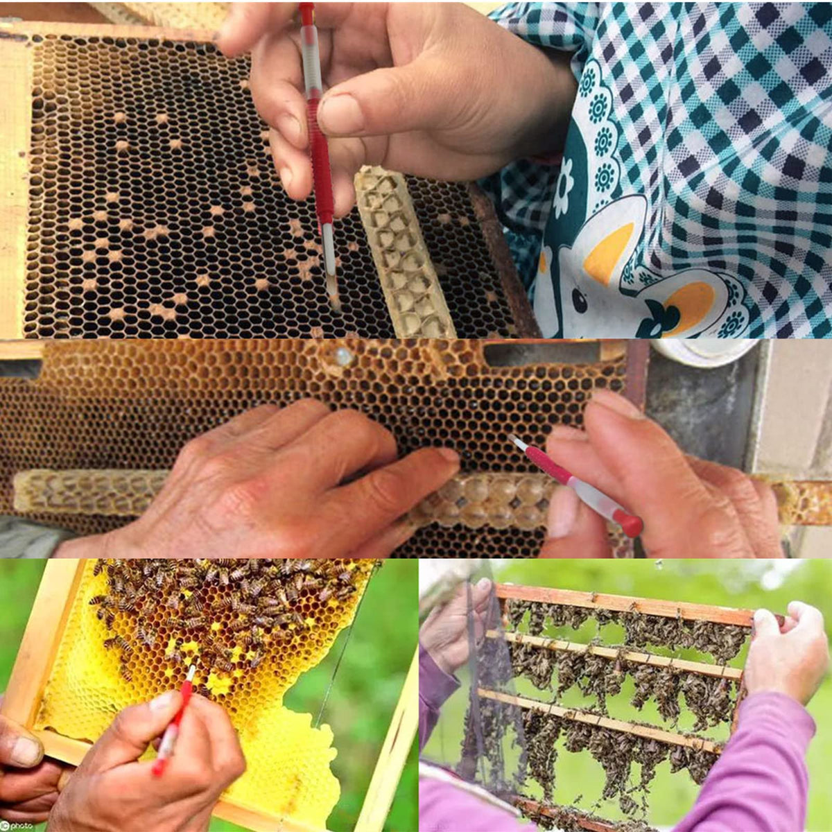 Dophee spring plunger mechanism assists smooth larva entry into cup.