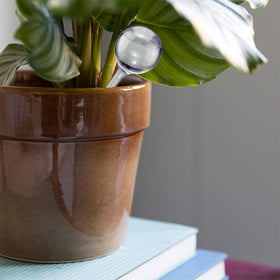 Dorphy transparent bulbs let you monitor water levels at a glance.