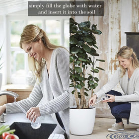 Dorphy water-conserving bulbs minimize evaporation and runoff around outdoor pots.