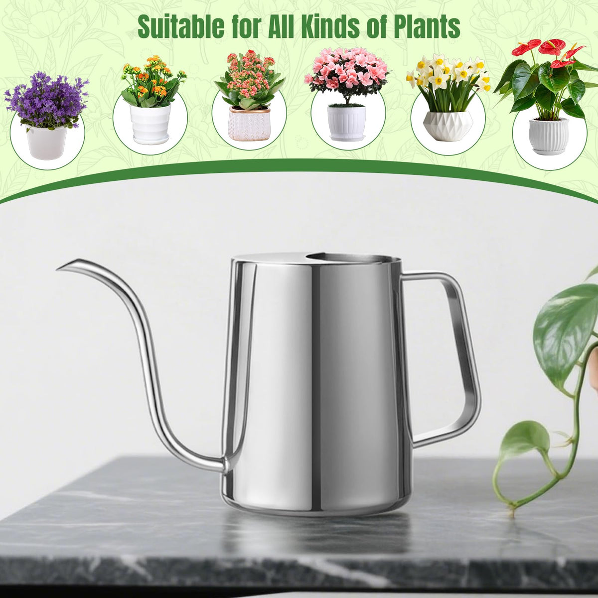 Doseno versatile watering can for vases and humidifiers