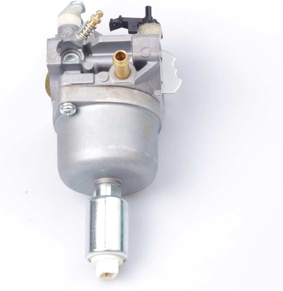 Dosens carburetor filter system showing clean air intake path