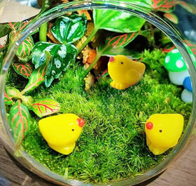 DoTebpa decorative chickens for succulent planters and fence scenes