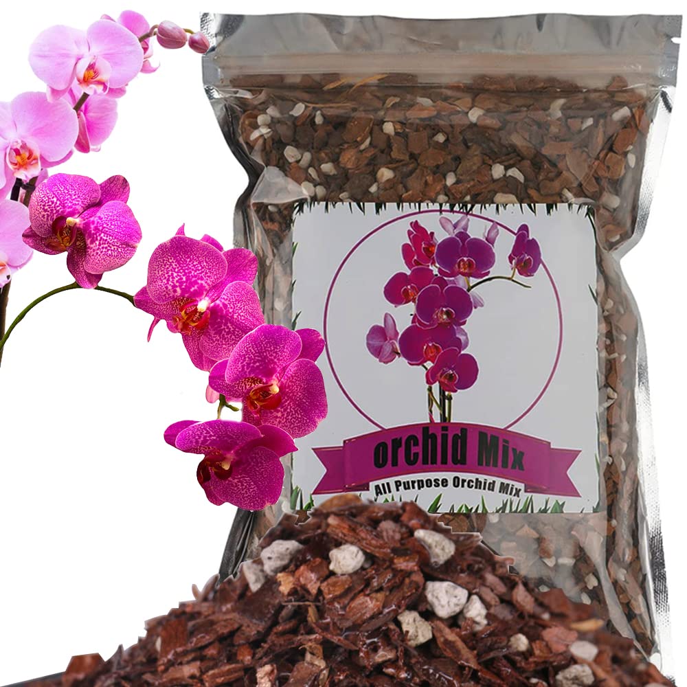 Doter all-purpose soil with orchid bark promotes healthy roots and balanced drainage.
