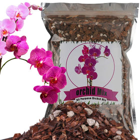 Doter all-purpose soil with orchid bark promotes healthy roots and balanced drainage.