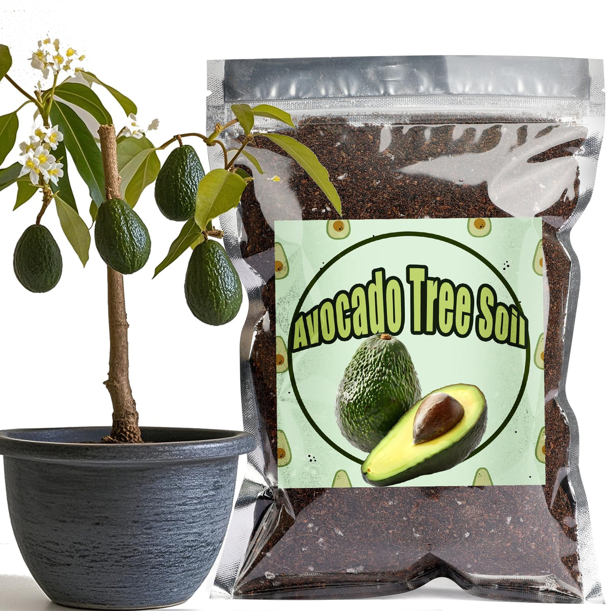 Doter avocado-tree-potting-soil-1qt bag ready for potting avocado sapling