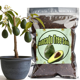 Doter avocado-tree-potting-soil-1qt bag ready for potting avocado sapling