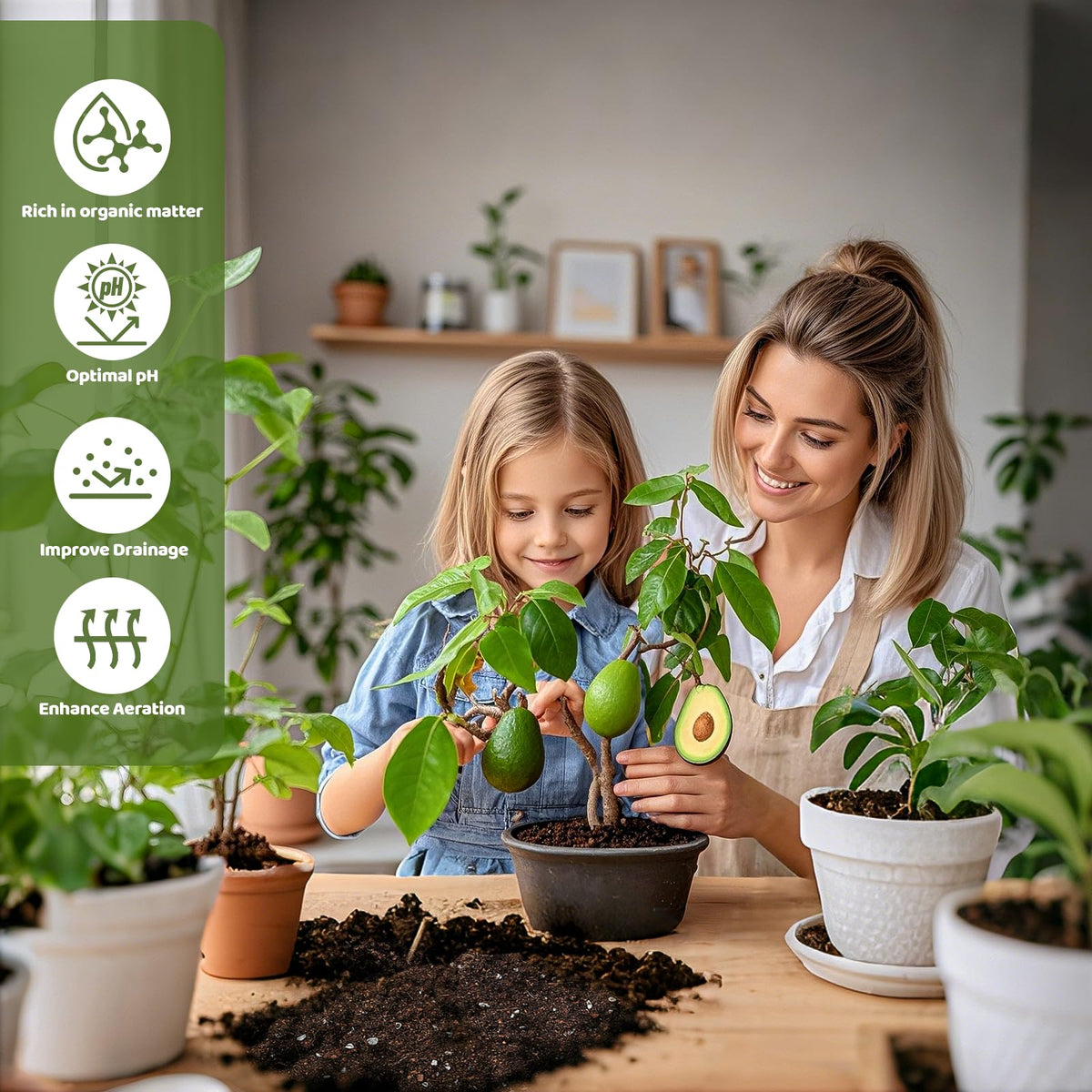 Doter-avocado-tree-root-drainage-1qt improves aeration for young trees