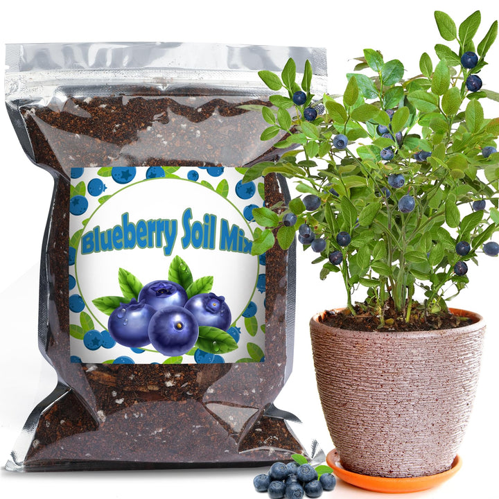 Doter Blueberry Soil Mix with acidic pH promotes nutrient uptake in blueberries.