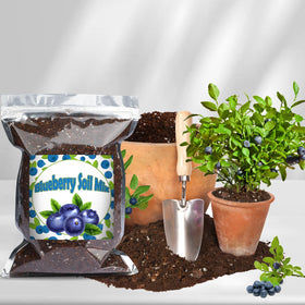 Doter Blueberry Soil Mix is nutrient-rich for healthy growth in potted blueberries.