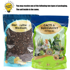 Doter bonsai terrarium houseplant soil suits diverse layouts