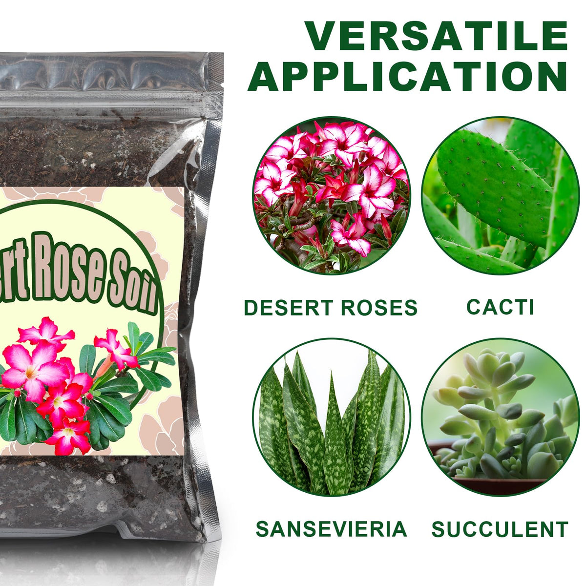 Doter cactus and succulent soil mix optimized for moisture-sensitive varieties