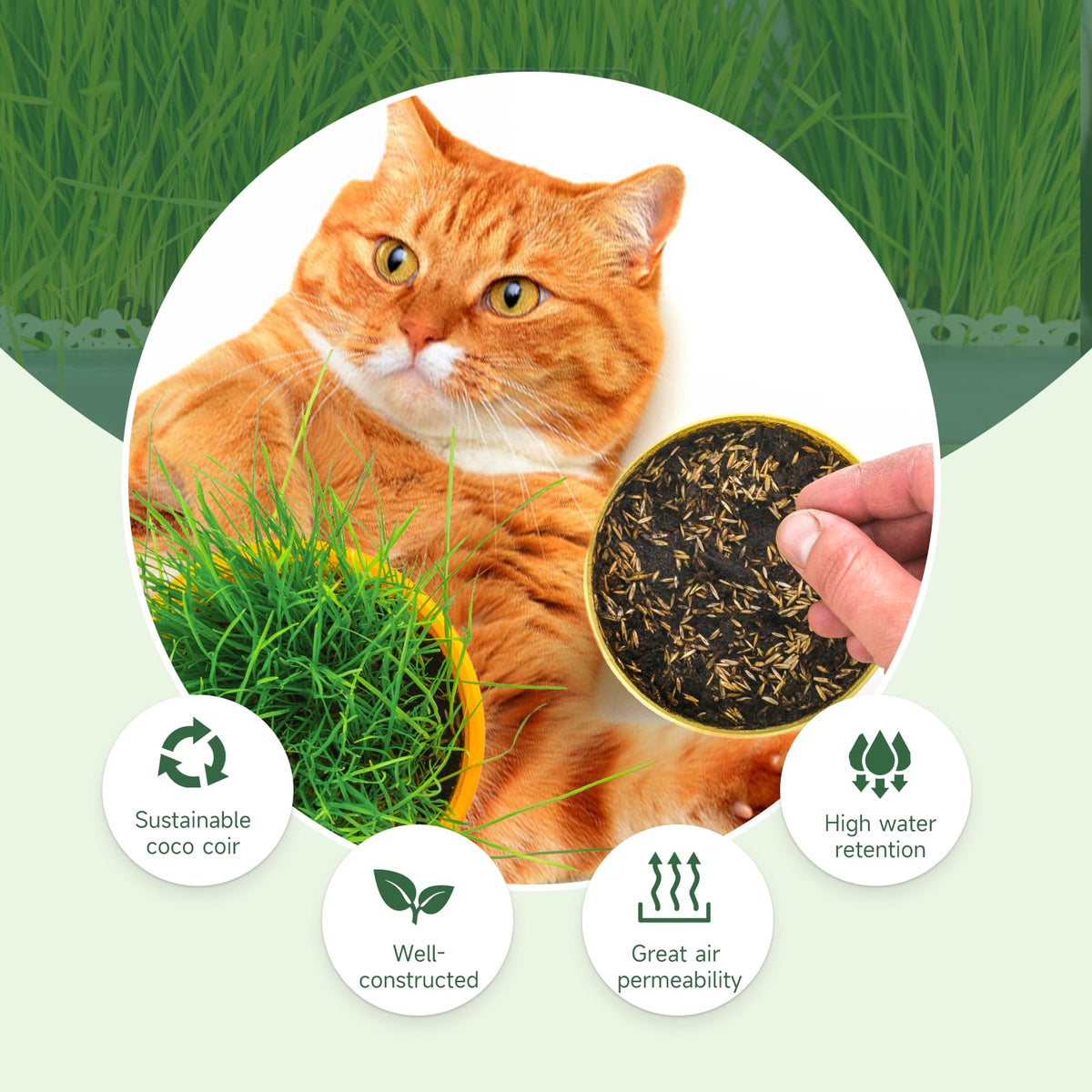 Doter coconut coir provides aeration and moisture balance for strong roots