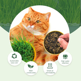 Doter coconut coir provides aeration and moisture balance for strong roots