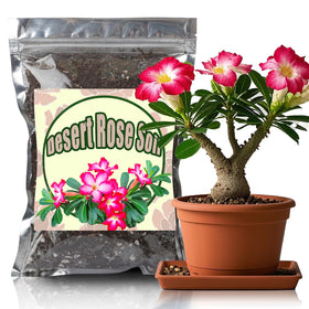 Doter Desert Rose potting soil pack promotes balanced minerals for healthy growth