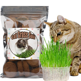 Doter disc potting soil for cat grass setup enables easy indoor sowing