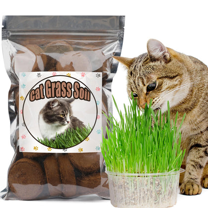 Doter disc potting soil for cat grass setup enables easy indoor sowing