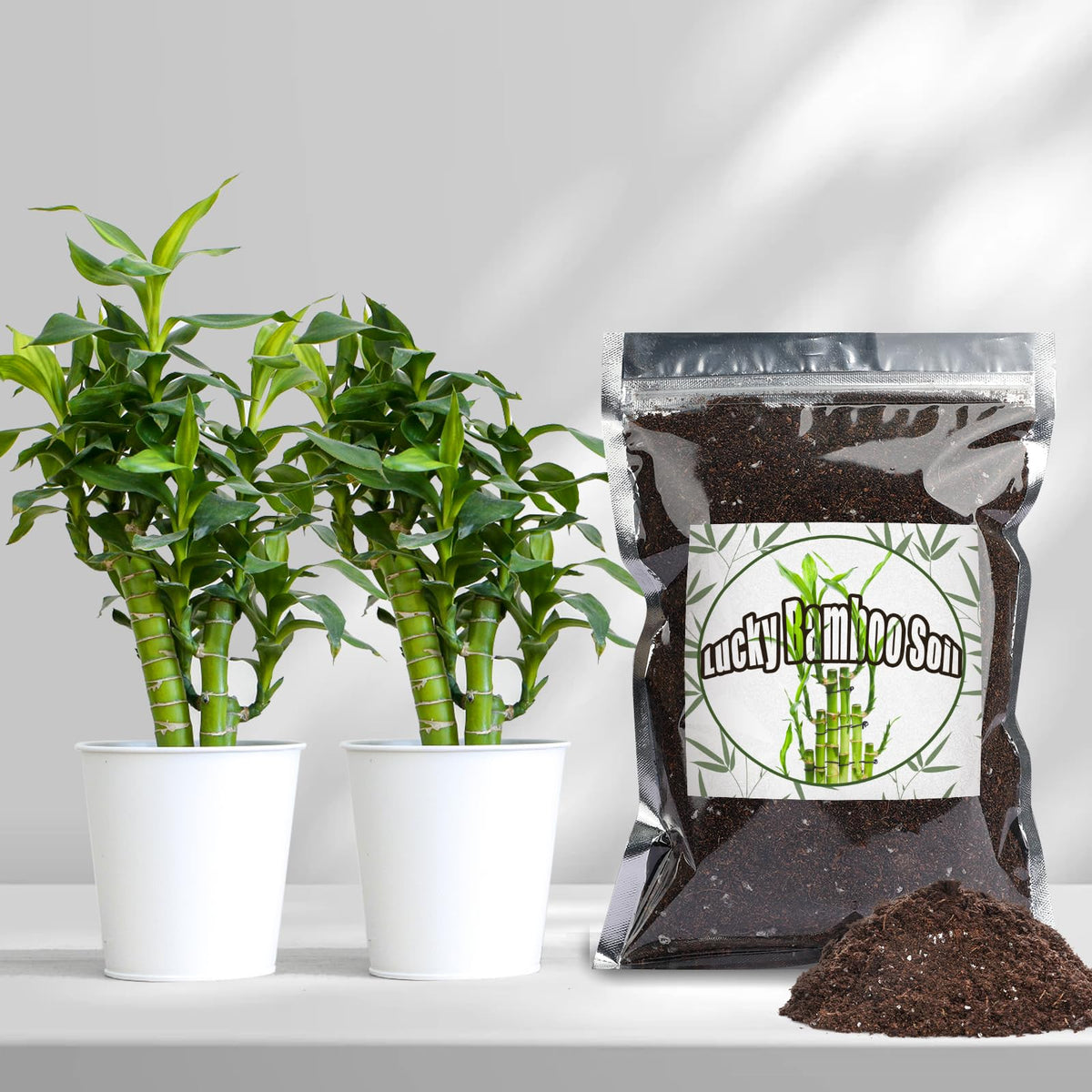 Doter Easy-to-use Lucky Bamboo soil mix makes setup quick and low effort.