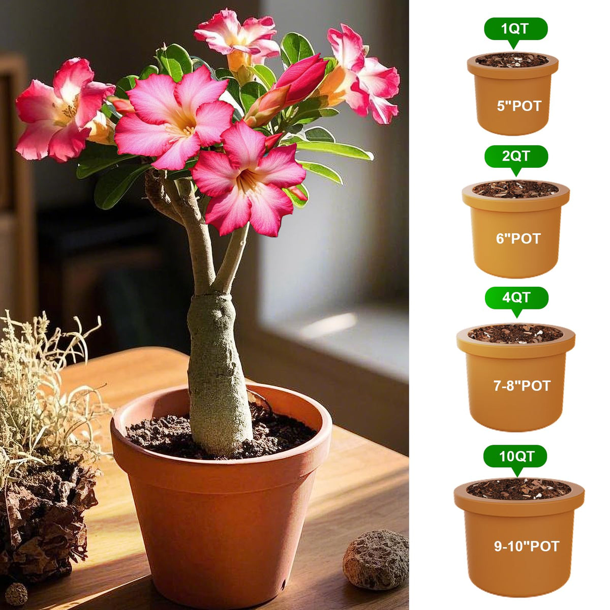 Doter easy-use potting soil suitable for beginners and seasoned gardeners