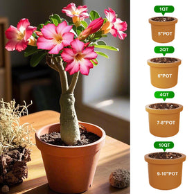 Doter easy-use potting soil suitable for beginners and seasoned gardeners