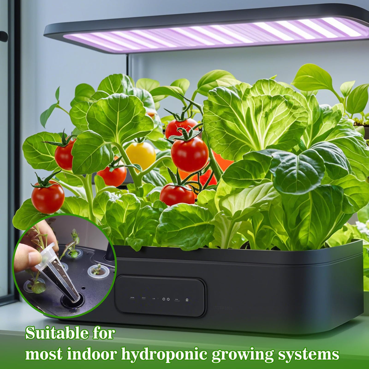 Doter Grow Sponges easy installation setup shows beginner-friendly use.
