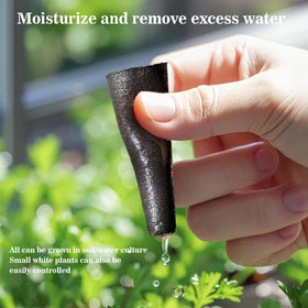 Doter Grow Sponges moisture retention close-up emphasizes even hydration.
