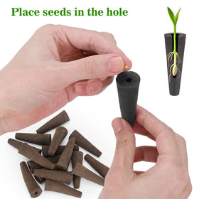 Doter Grow Sponges root growth illustration highlights stronger root development.