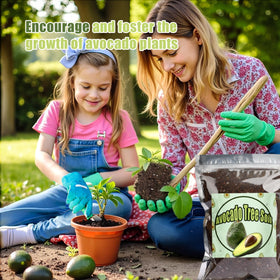 Doter-indoor-outdoor-avocado-growth-1qt versatile for settings