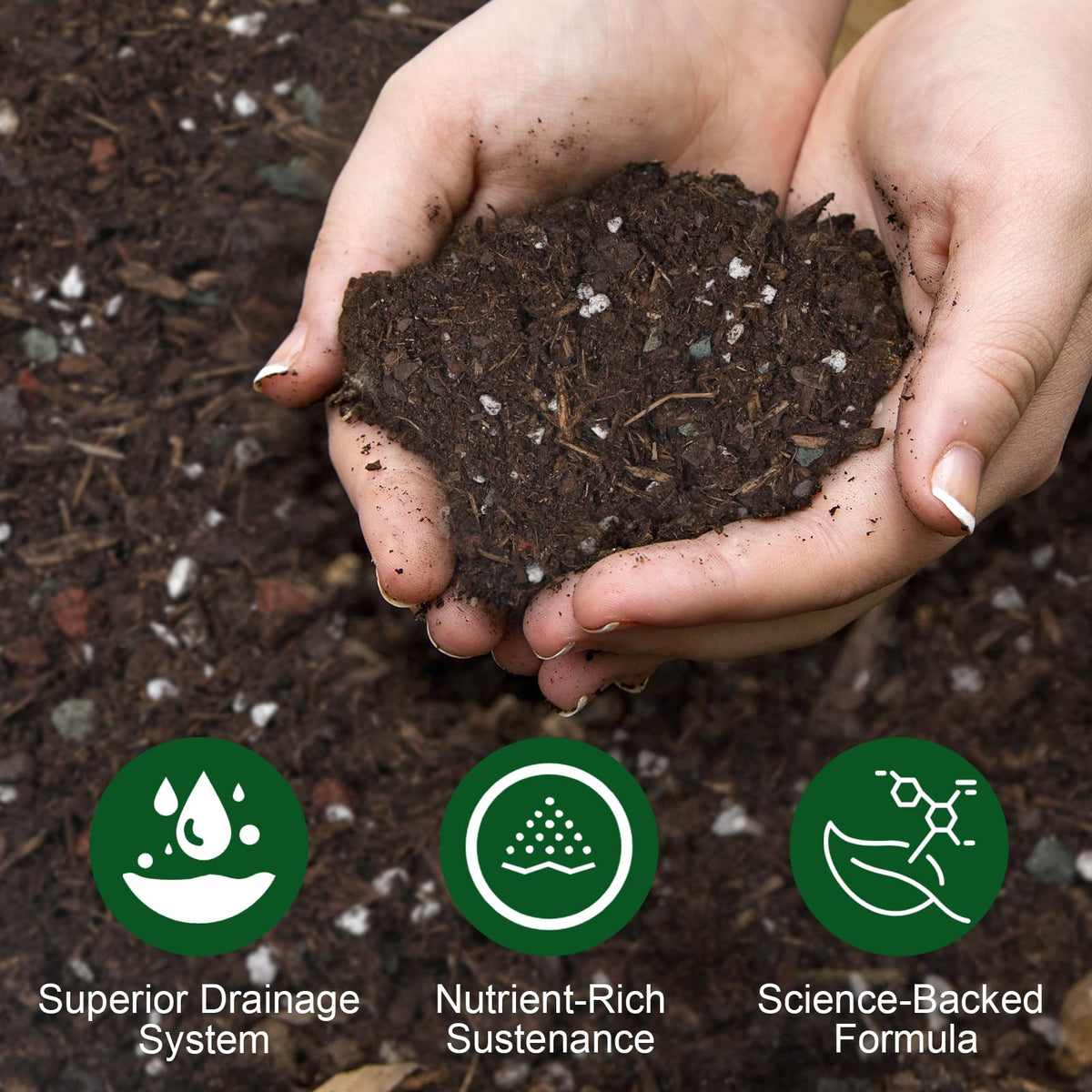 Doter Desert Rose soil enables versatile indoor and outdoor planting setups