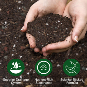 Doter Desert Rose soil enables versatile indoor and outdoor planting setups