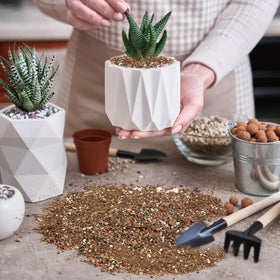 Doter long-lasting soil performance preserves structure over time