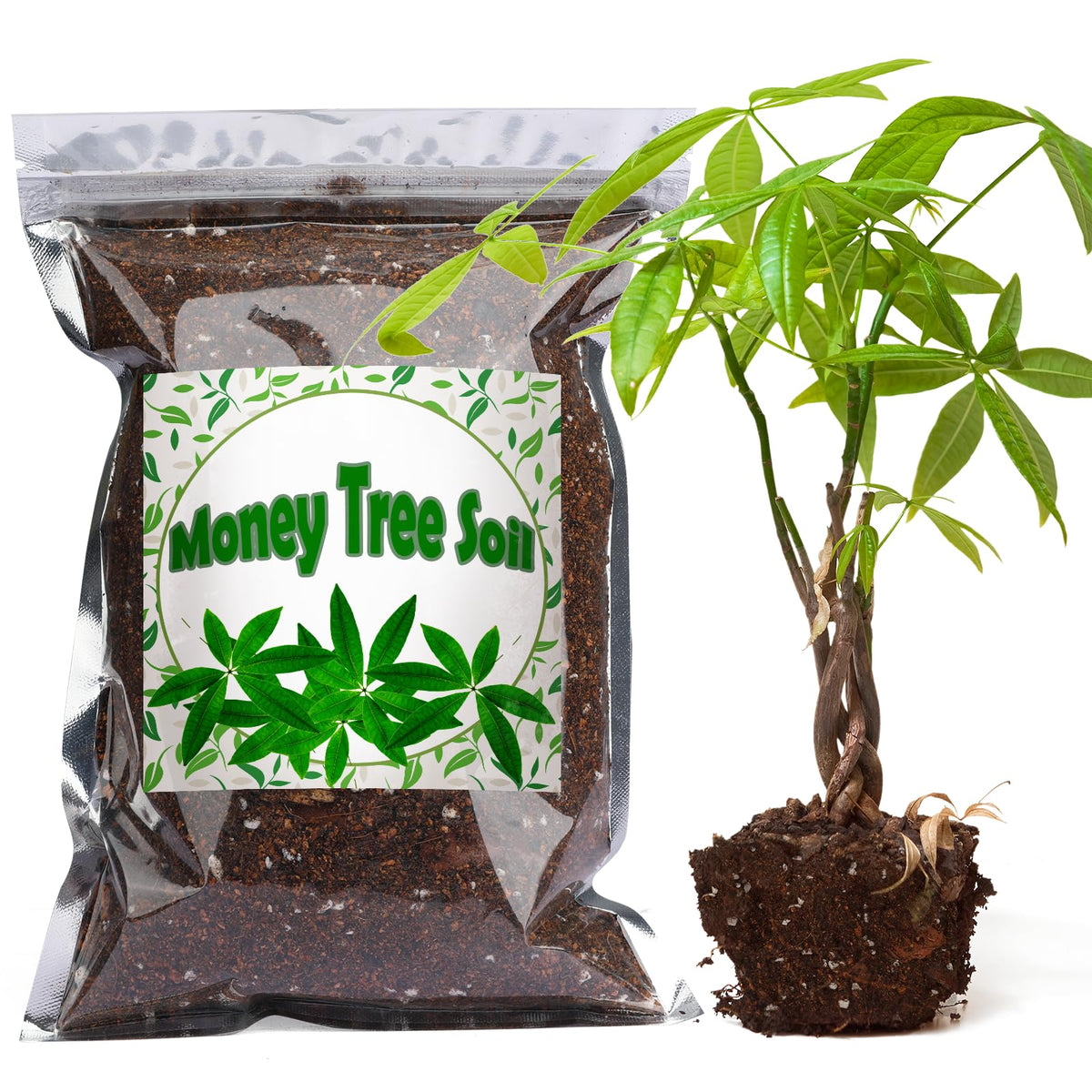 Doter Money Tree Soil Mix 2qt packaging showing neutral pH formula for thriving indoor plants.