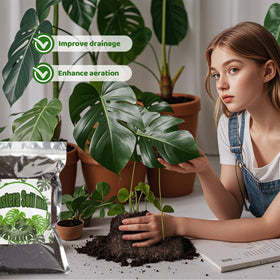 Doter Monstera soil pH optimized for tropical plants enhances nutrient uptake.