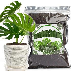 Doter Monstera potting soil with rapid drainage supports healthy root air flow.