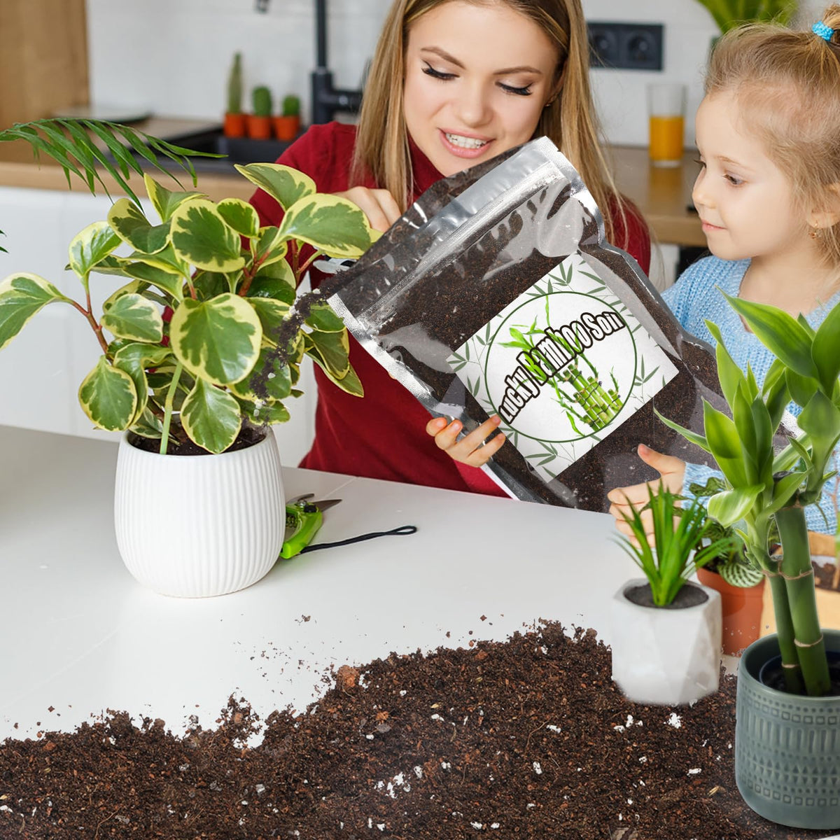 Doter Nutrient-rich Bamboo Soil nourishes roots for vibrant foliage and overall plant health.