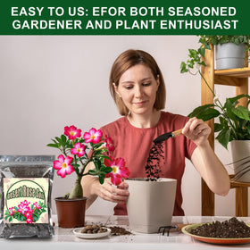 Doter nutrient-rich plant soil supports thriving transplanting experiences
