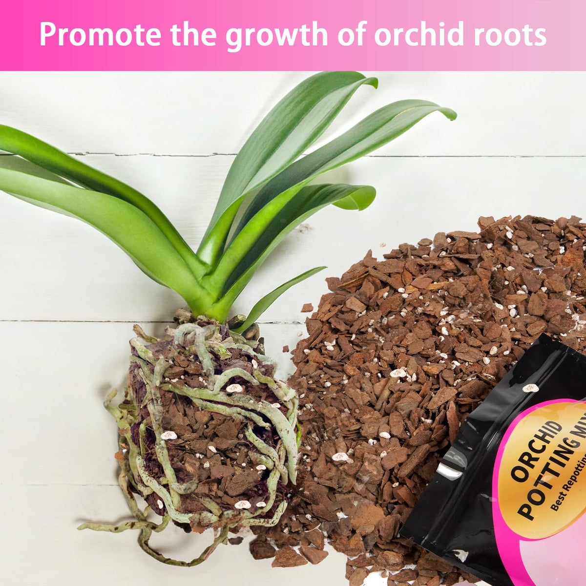 Doter orchid mix closeup reveals effective aeration and drainage.