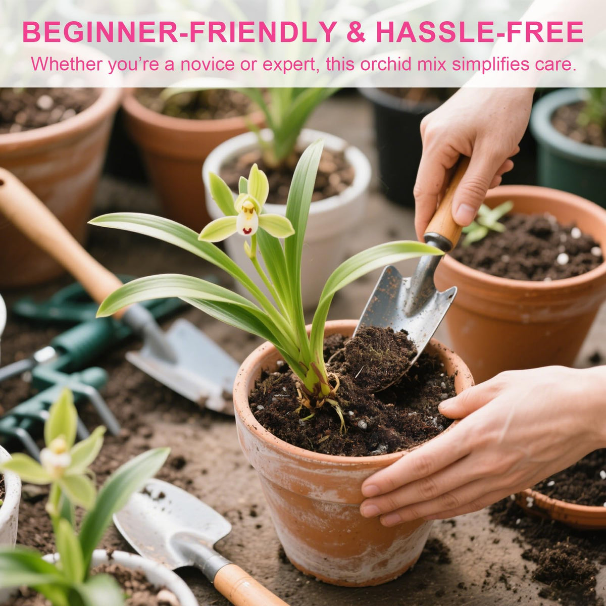 Doter beginner-friendly orchid mix shows lightweight texture for easy handling.