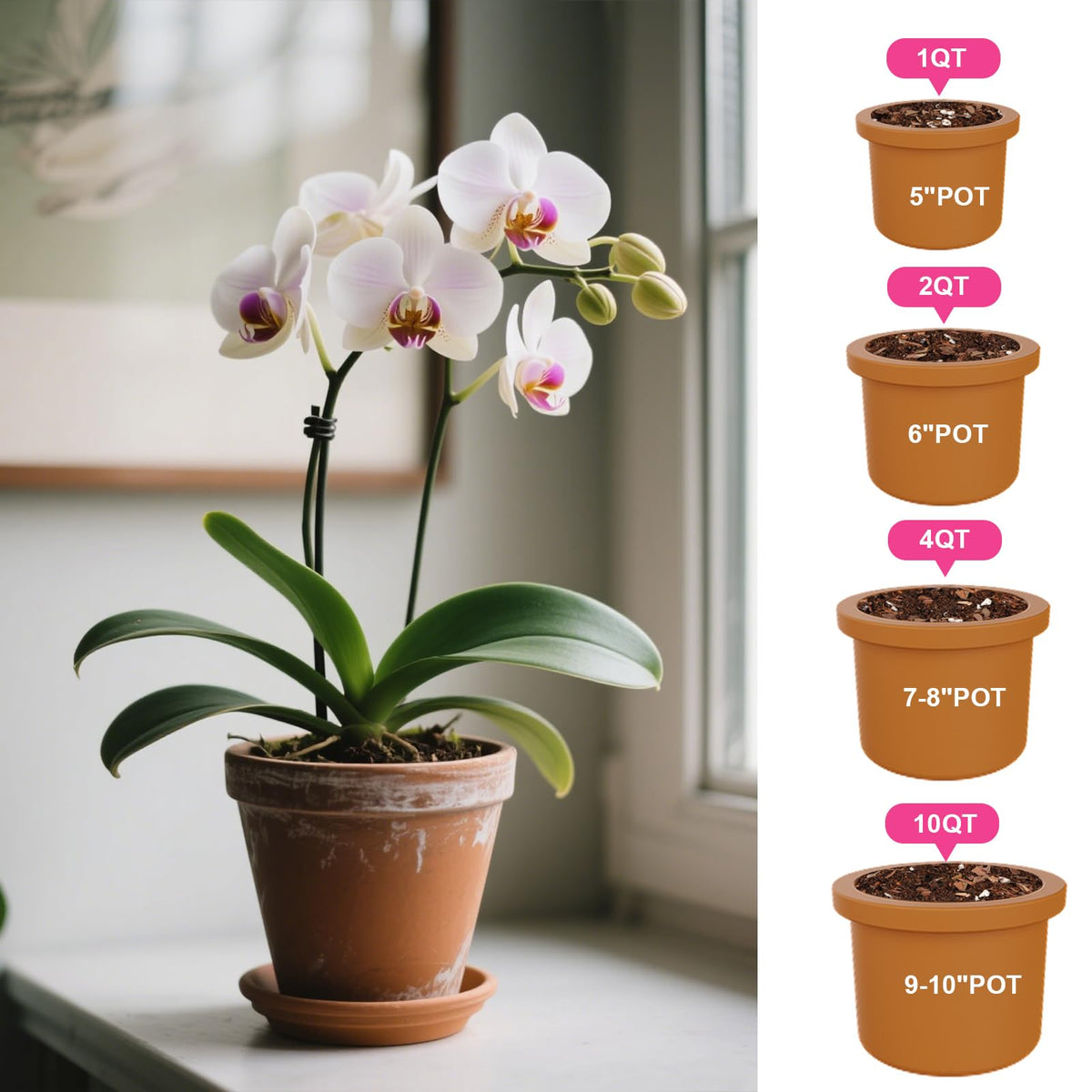 Doter Organic Orchid Potting Mix packaging highlights 1qt size and all-natural ingredients.