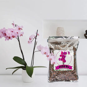 Doter orchid mix for repotting supports root health for mature plants.