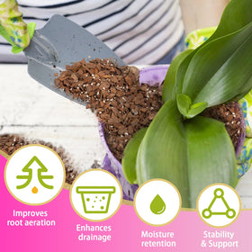 Doter Orchid Potting Mix in container demonstrates easy repotting setup.