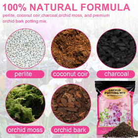 Doter orchid mix close-up highlighting fast-draining texture with perlite and bark.